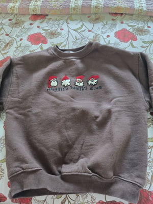 Zara sweatshirt used, size 116 cm, brown, age 6