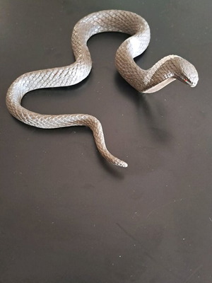 King Cobra figure used in attack pose