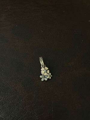 Pandora charm