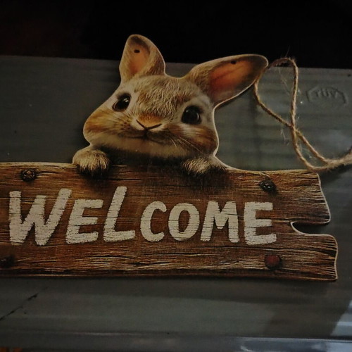 Rabbit Sign new wooden spring and Easter wall decoration