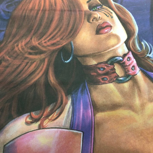 Dawn fabric poster like new, signed by J.Michael Linsner 2006
