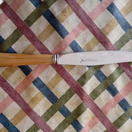 Household vintage luxury French Sopexa France cutlery like new with horn handle