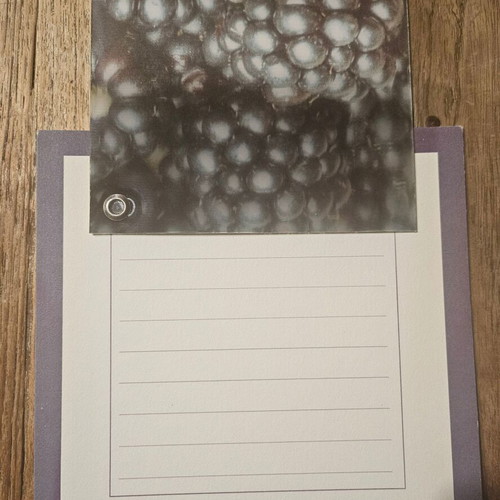 Greeting card 3D blackberries new