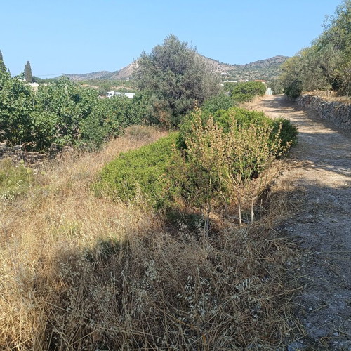 Land plot in Aegina Kypseli area, 492 m², buildable, corner