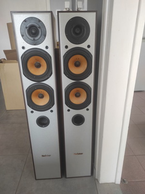 Roister sound floor-standing speakers like new