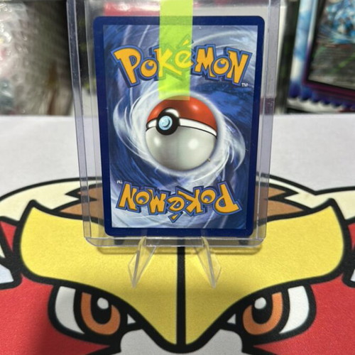 Zeraora V Pokemon Sword & Shield Promo Ultra Rare Holo Card mint/nm condition