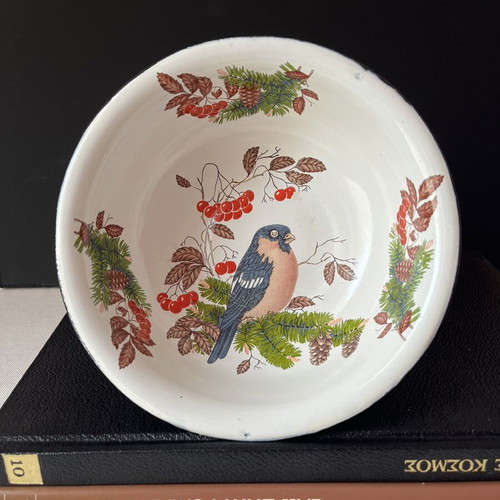 Vintage enamel bowl USSR with bullfinch design, 18cm, like new