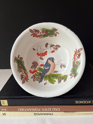 Vintage enamel bowl USSR with bullfinch design, 18cm, like new