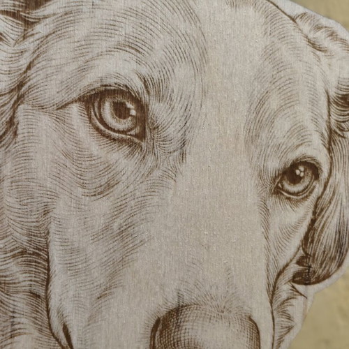 Personalized wooden pet portrait new, laser engraved