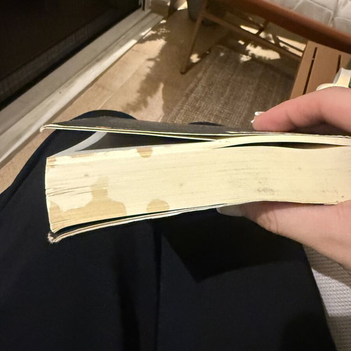 The Phoenix by Christos Chomenidis used Greek book