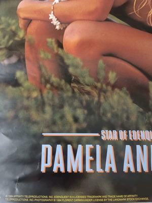 Pamela Anderson Poster