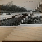 cart postales