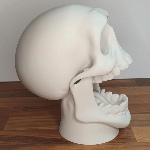 Epic Skull Controller and Headset Stand new