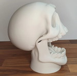 Epic Skull Controller and Headset Stand new