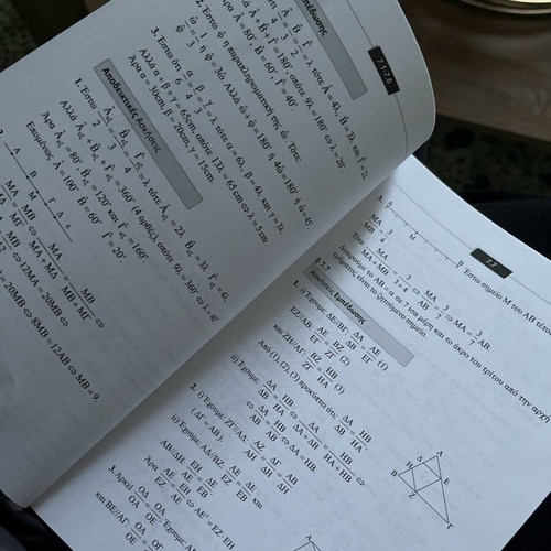 Euclidean Geometry new, standard book with solution booklet