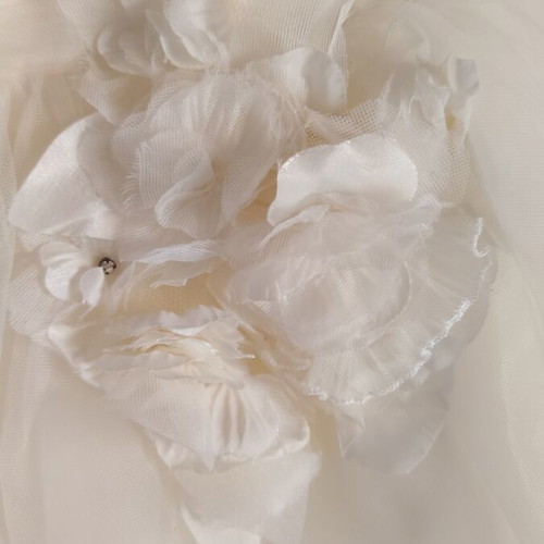 Pronovias San Patrick wedding dress, romantic style, tulle skirt