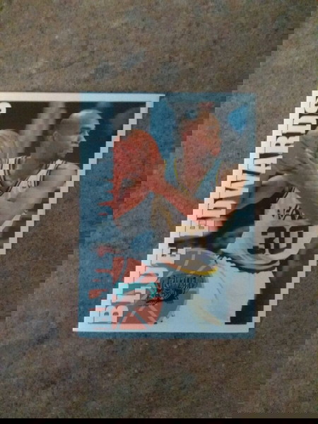 "...PANINI NBA BASKETBALL '95-'96 (No201)..."