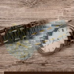  Citizen titanium