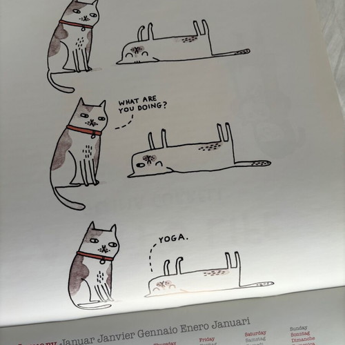 A Cat's Life 2017 Wall Calendar teNeues like new