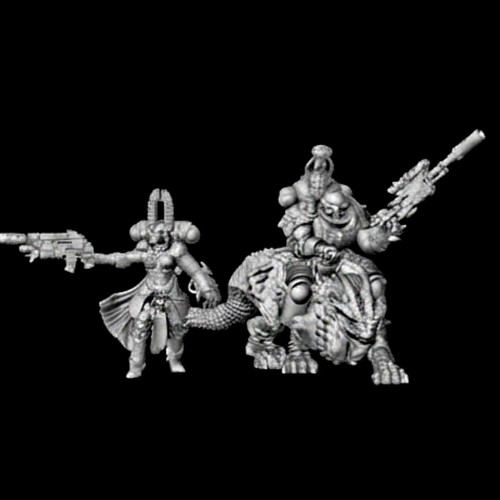 Inquirers of the Expanded Universe custom sci-fi miniatures