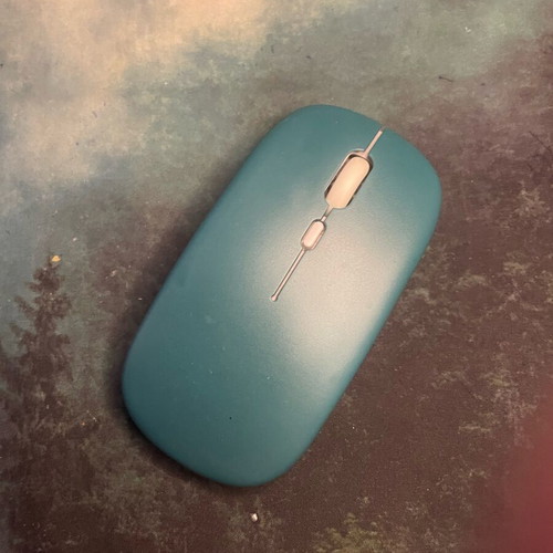 Mouse China new