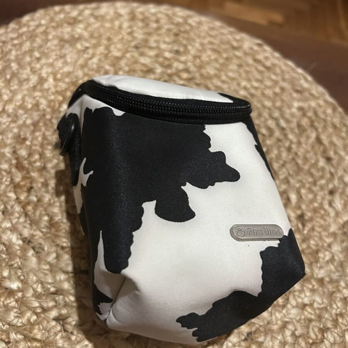Camera case with internal compartments