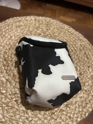 Camera case with internal compartments