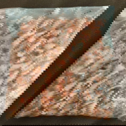 Χάντρες από κέρατο κοχυλιών σαν καινούργιο, φυσικό σχήμα με πλάγια τρύπα