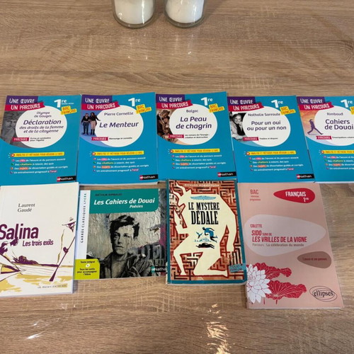 French learning guides and novels used, set of 9 books