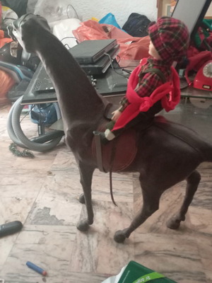 Large leather horse used decoration