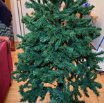 Christmas Tree 1.65 m like new, dense