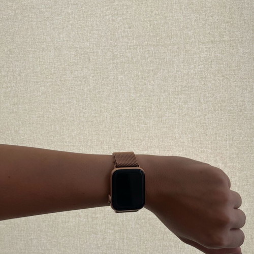 Silver Apple Watch Strap new Tech Protect