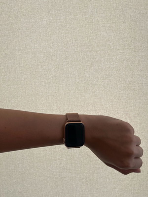 Silver Apple Watch Strap new Tech Protect