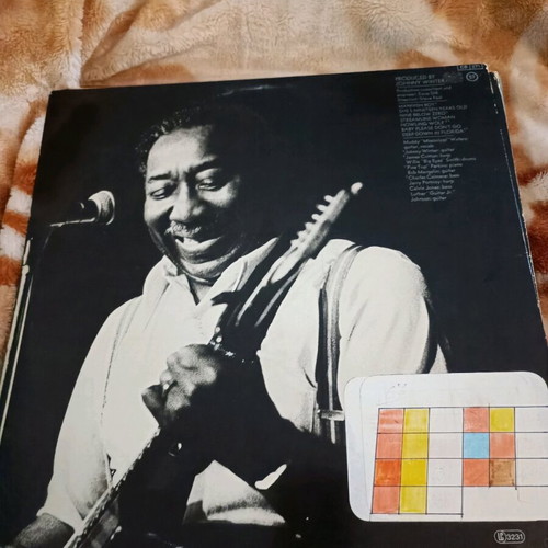 Muddy Waters Muddy "Mississippi" Waters Live vinyl LP album used, blues