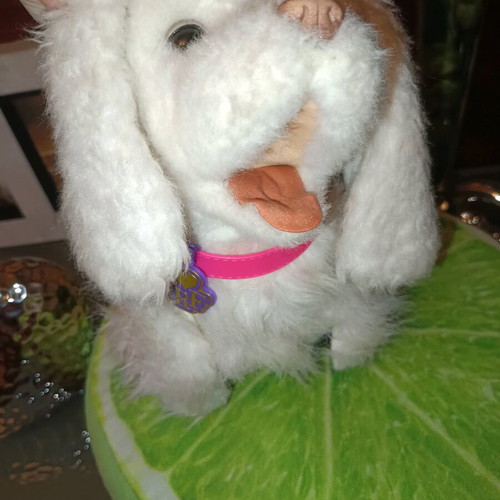 Interactive plush puppy with leash like new