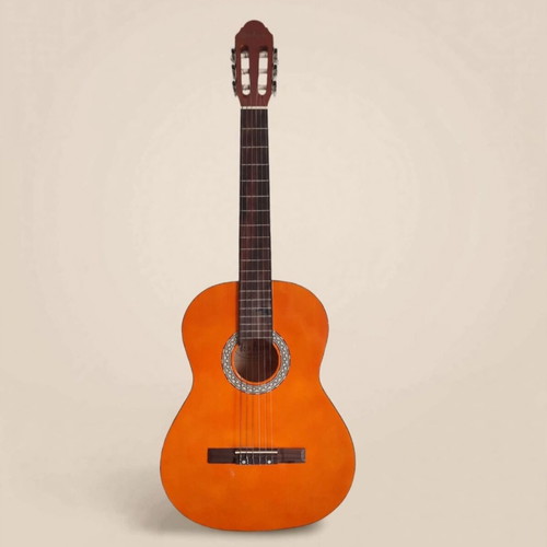 Jose Arenas C-10 classical guitar 4/4 size with soft Roadbag case