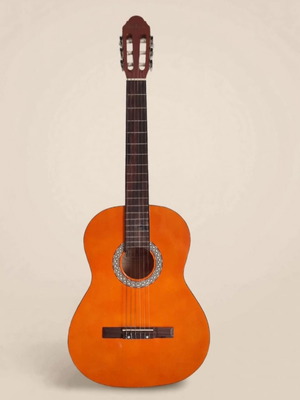 Jose Arenas C-10 classical guitar 4/4 size with soft Roadbag case