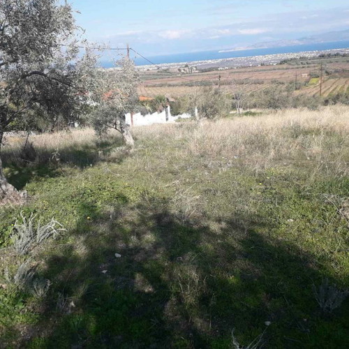 Land plot 220 sqm with 13-meter road frontage, Panorama Zegolatio location