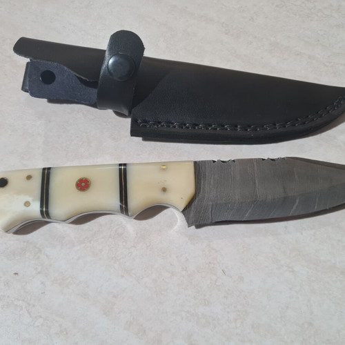 Hunting knife camel bone handle new