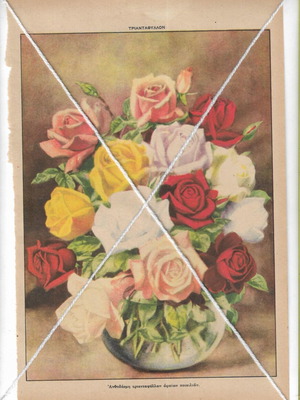 Vintage printed artwork bouquet of roses in vase