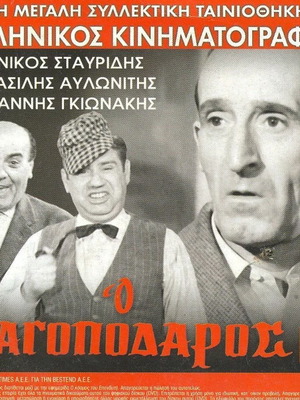 O Lagopodaros DVD used, comedy romantic social film