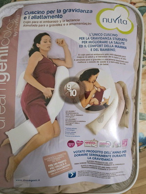 Pregnancy and Nursing Pillow new