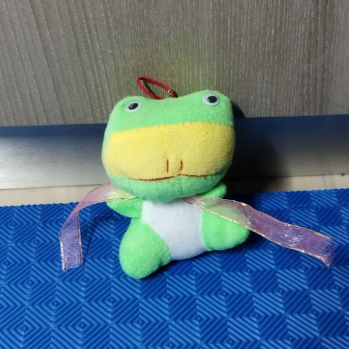 Plush frog used, small