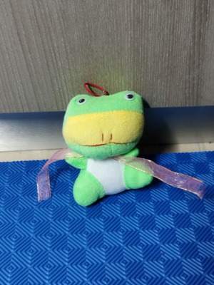 Plush frog used, small