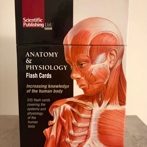 Anatomy & Physiology Flash Cards like new, Scientific Publishing
