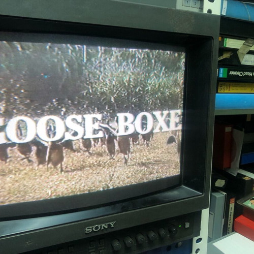 VHS Kung Fu Goose Boxer used, Greek edition "To Paichnidi tou Thanatou"