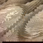  Ασημένιο, Proof 1 Dollar 1991 P Korean War