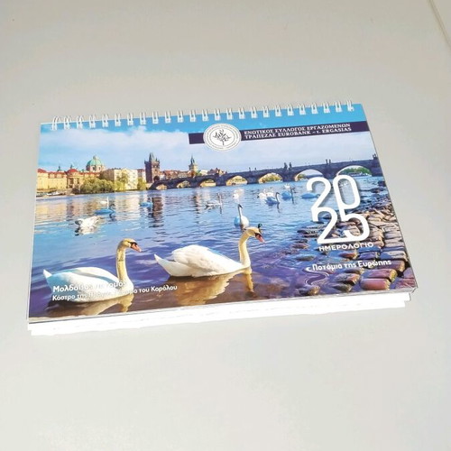 2025 calendar like new