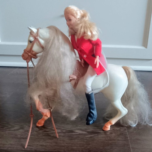 Barbie Amazon and Her Horse like new