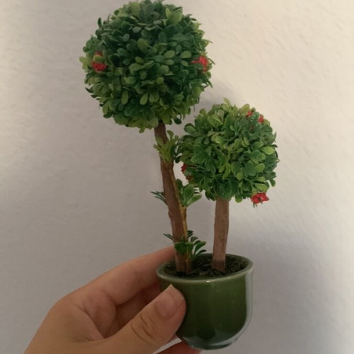 Decorative tree used